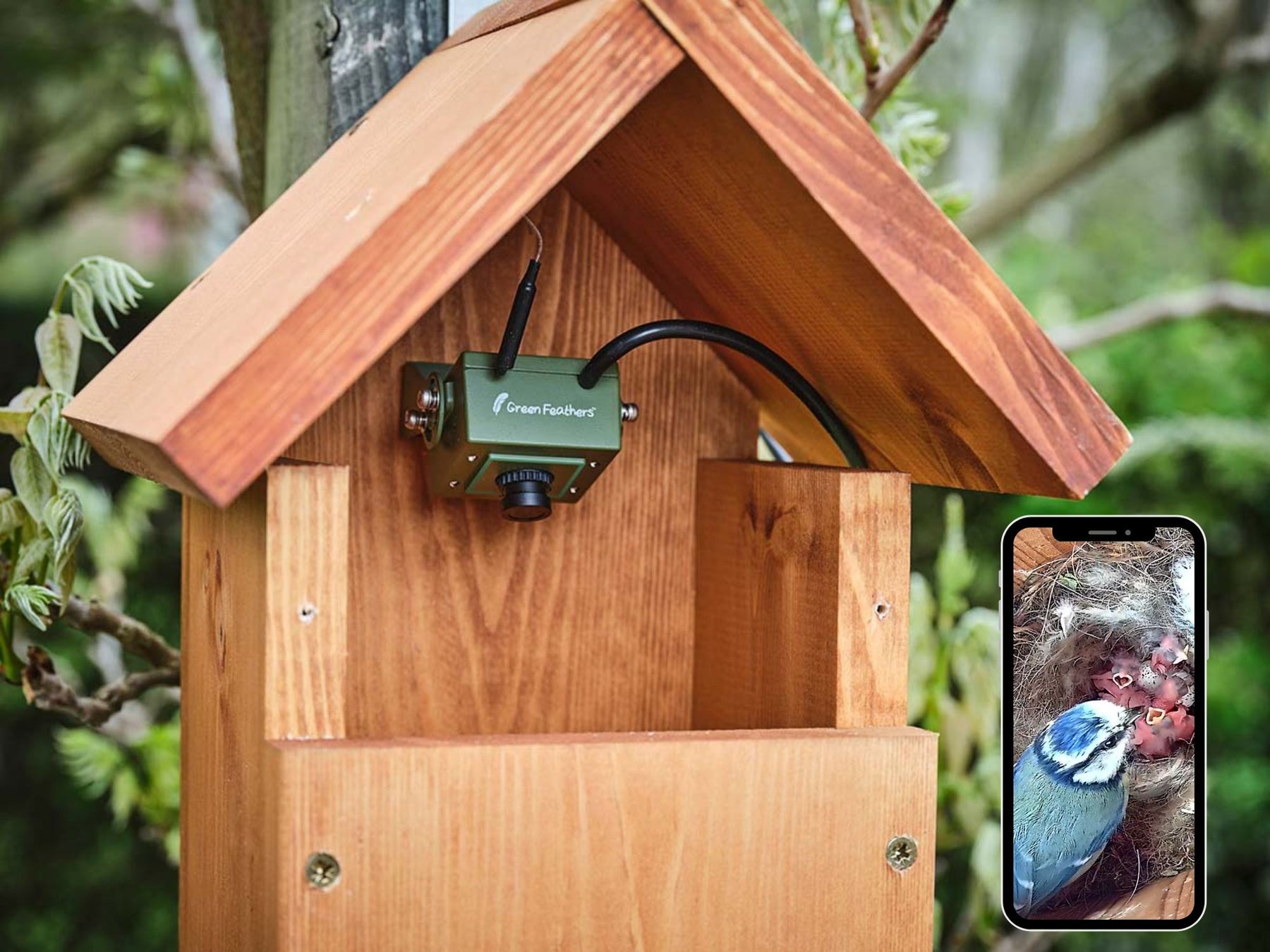 Wifi Bird Box Camera (3rd Gen)