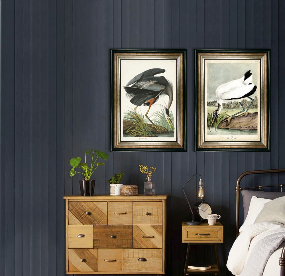 Great Blue Heron By John James Audubon - Framed Art