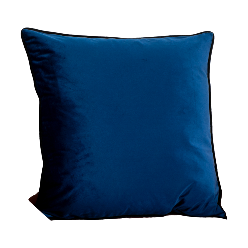 Blue Piped Velvet Cushion