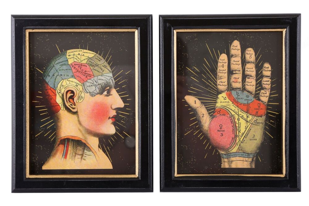 Set Of 2 Phrenology Framed Prints 25cm