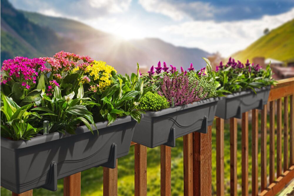 Gardenico - Self-irrigating Planter For Balconies 800mm - Anthracite - Triple Pack