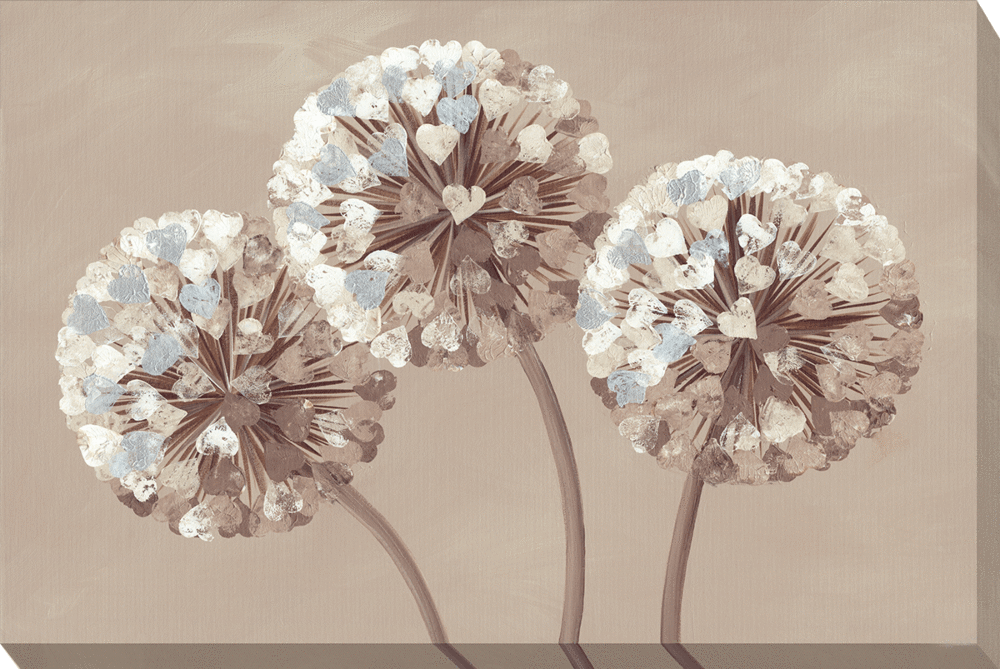 Chocolate Allium Hearts By Kaye Lake