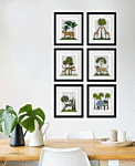 Jungle Animals Iv - Framed Art