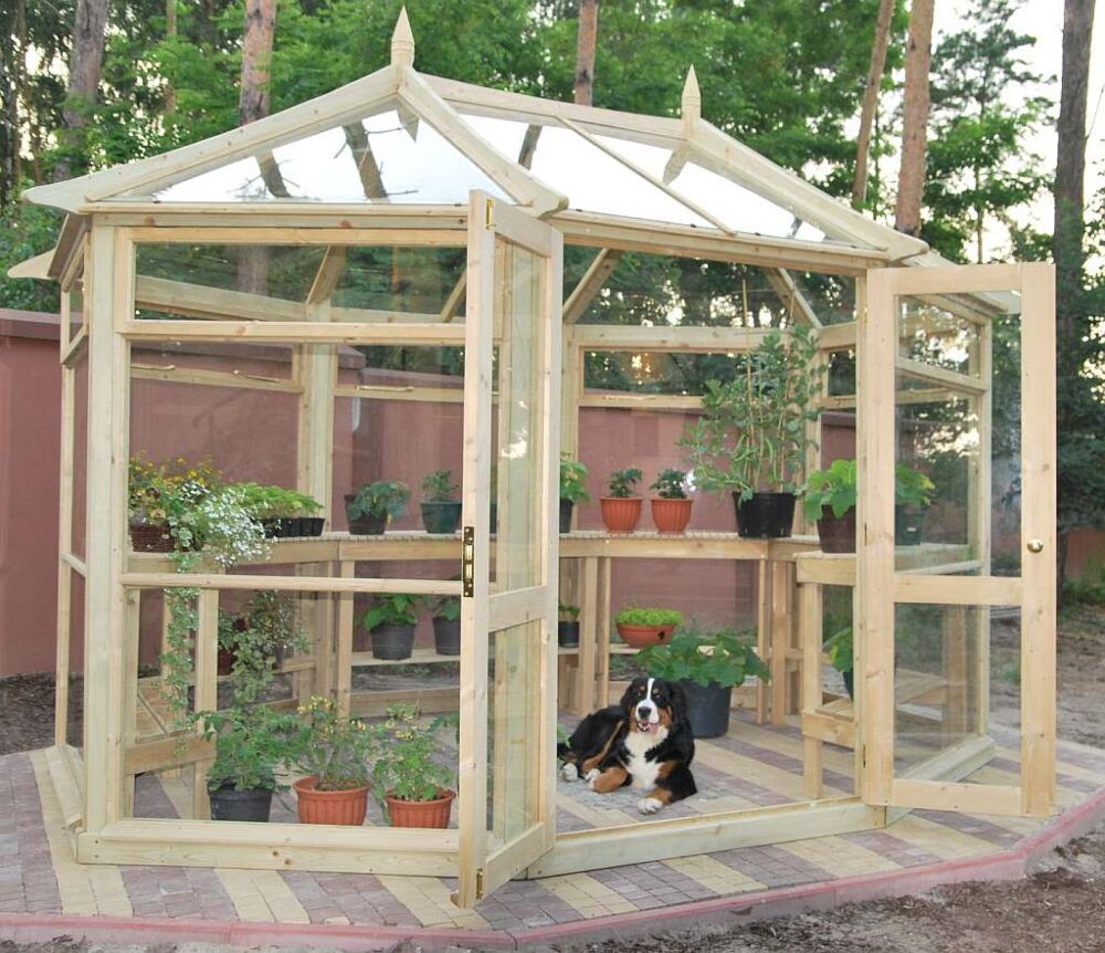 Edwardian Greenhouse (large)