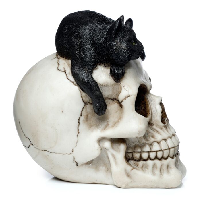 Fantasy Skull Ornament - Skull With Black Cat