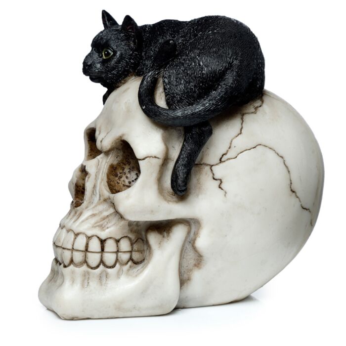 Fantasy Skull Ornament - Skull With Black Cat
