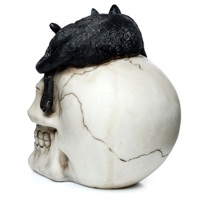 Fantasy Skull Ornament - Skull With Black Cat