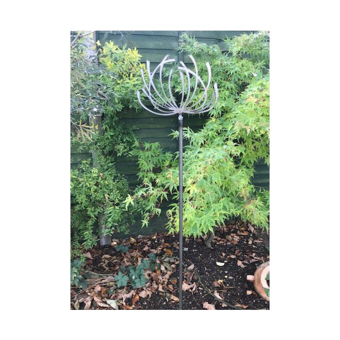 Clematis 4ft Bare Metal/ready To Rust