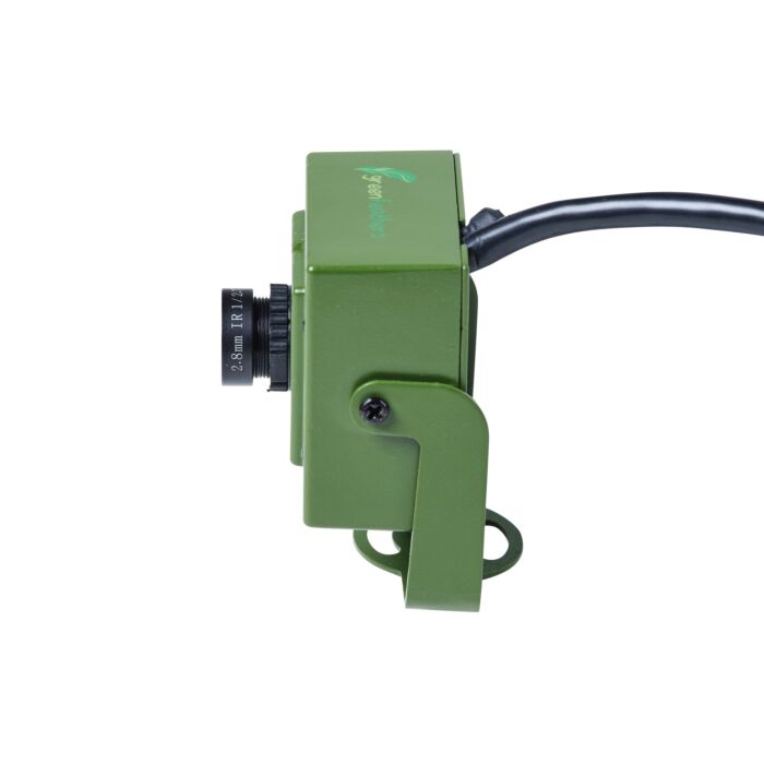 Green Feathers Bird Box Camera Hd Network Cable Connection (camera Only)