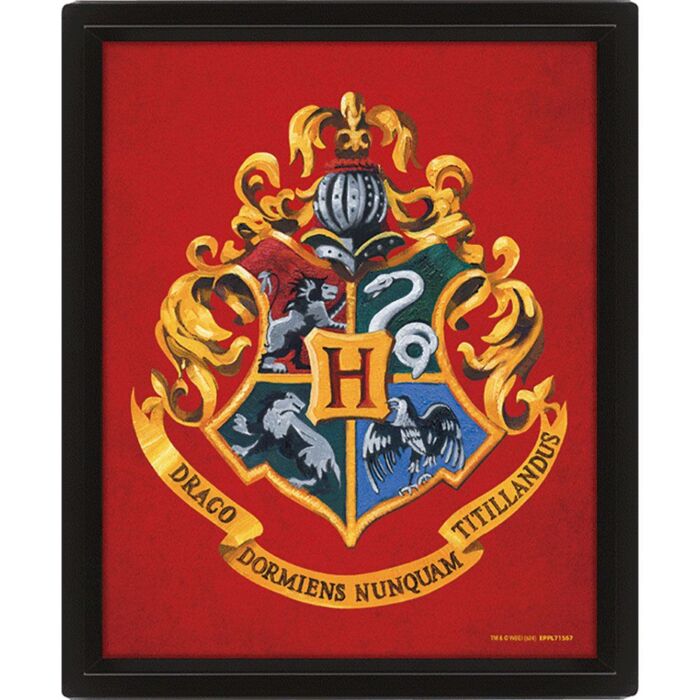 Harry Potter Gryffindor Framed 3d Picture