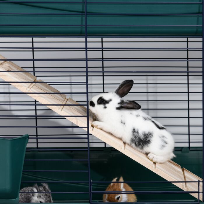 Pawhut Small Animal Cage Habitat With Accessories 3 Openable Doors 2-story Large Pet Play House For Chinchillas Puppy Guinea Pig 80 X 44 X 82 Cm