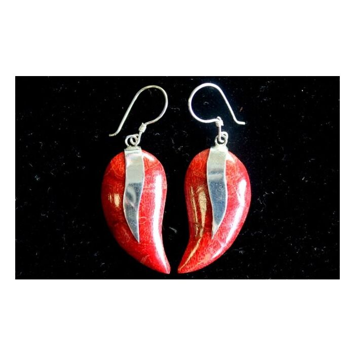 925 Silver Earrings - Mangos