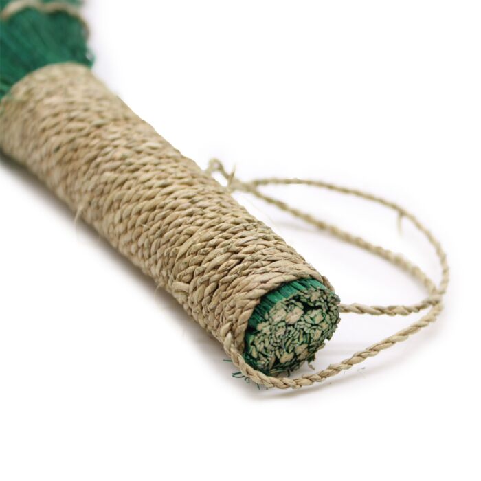 Set 4 - Pampas Long Broom - Vivid Colours