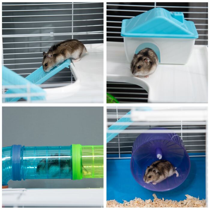 Pawhut Large Hamster Cage, 5-level Gerbil Haven, Small Rodent House, Tunnel Tube System, With Water Bottle, Exercise Wheel, Ramps, 59x36x 69 Cm Blue