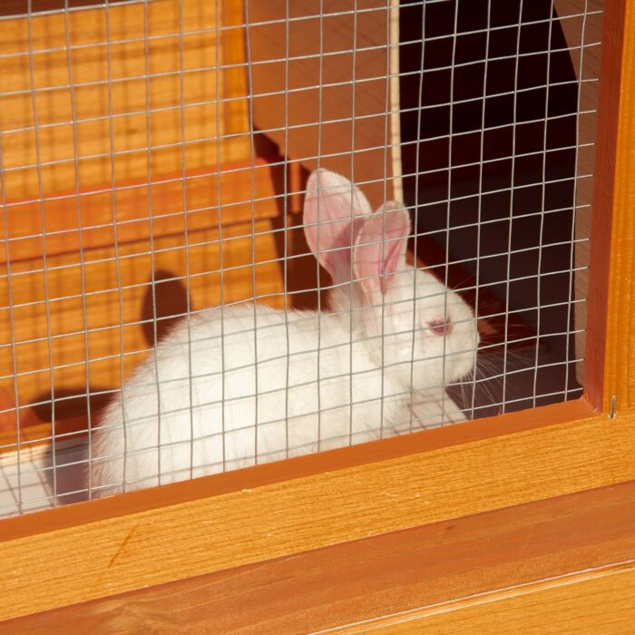 Pawhut 2-tier Rabbit Hutch Wooden Guinea Pig Hutch Double Decker Pet Cage Run With Sliding Tray Opening Top