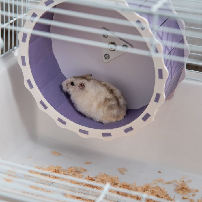 Pawhut Two-tier Hamster Cage Gerbil Haven Multi-storey Rodent House Small Animal Habitat With Water Bottle, Excise Wheel, Ladder, White