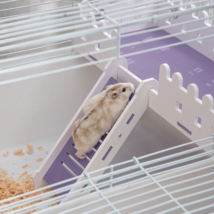 Pawhut Two-tier Hamster Cage Gerbil Haven Multi-storey Rodent House Small Animal Habitat With Water Bottle, Excise Wheel, Ladder, White