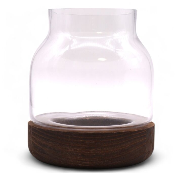 Medium Shaped Terarium On Dark Tung Wood