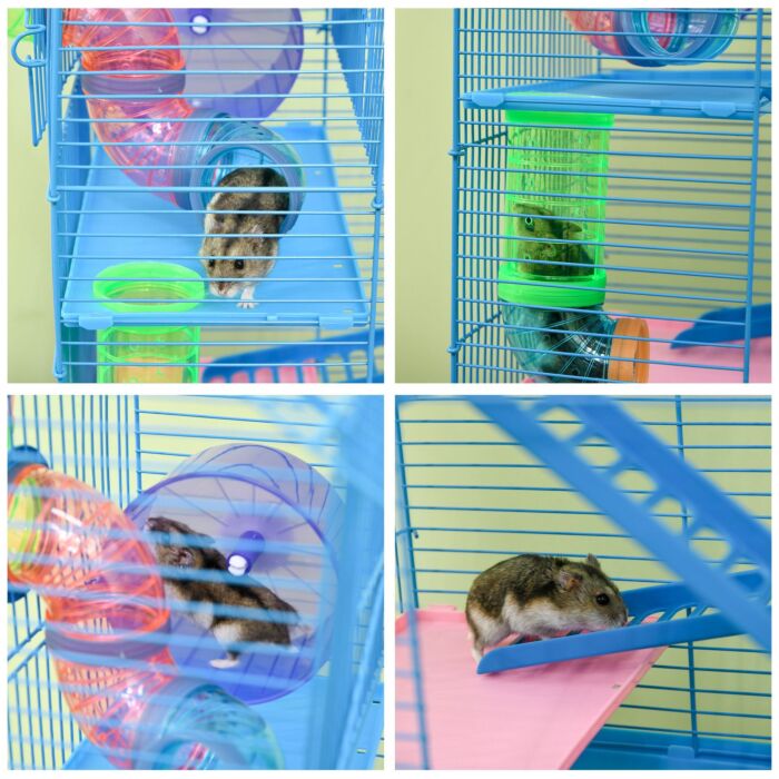 Pawhut 5 Tier Hamster Cage Carrier Habitat With Exercise Wheels Tunnel Tube Water Bottle Dishes House Ladder For Dwarf Mice, Blue