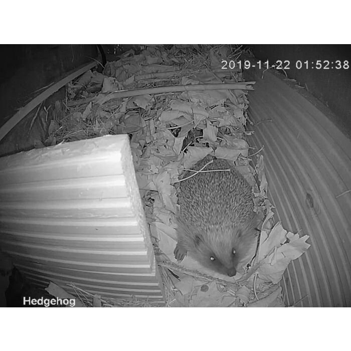 Hedgehog Box Camera Deluxe Bundle Wifi Connection