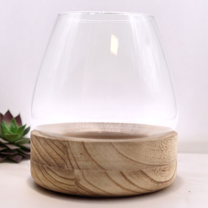 Large Terarium On Natural Tung Wood