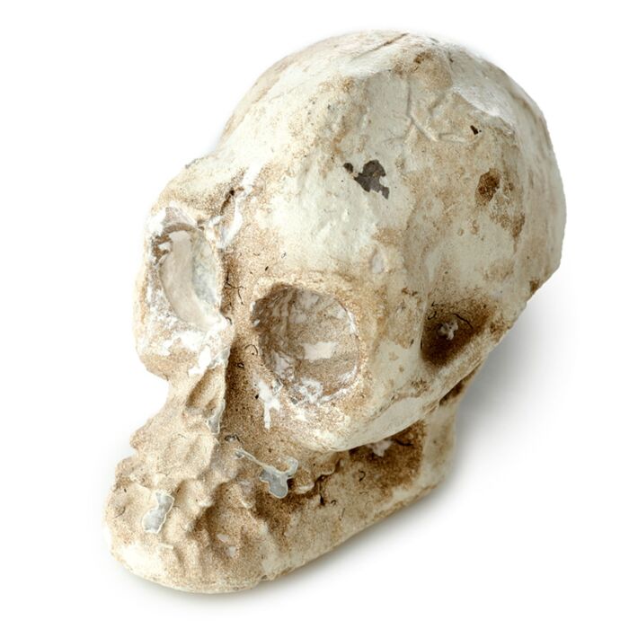 Fun Excavation Dig It Out Kit - Human Skull