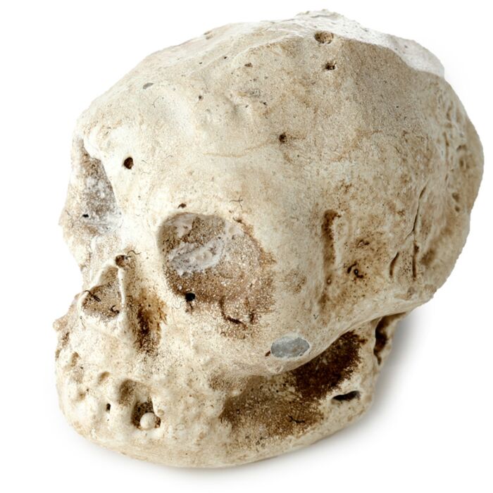 Fun Excavation Dig It Out Kit - Human Skull
