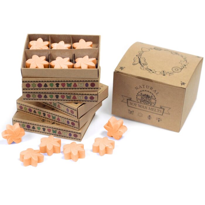 Box Of 6 Wax Melts - Mango Fruits
