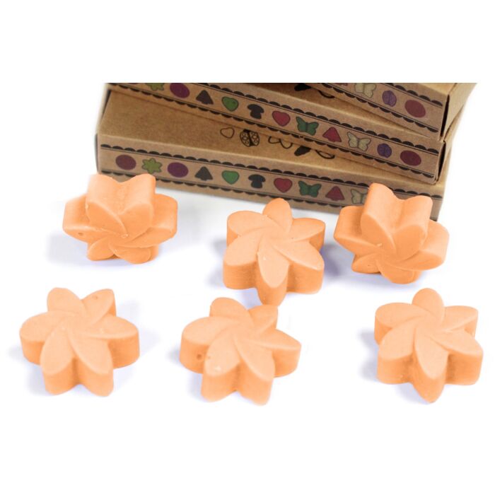 Box Of 6 Wax Melts - Mango Fruits