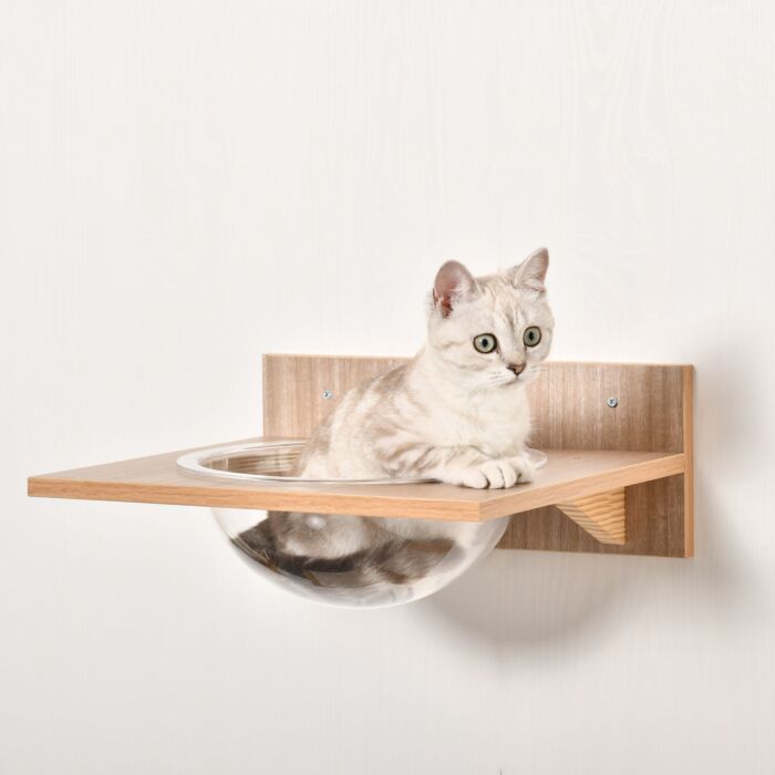 Pawhut 4pcs Wall-mounted Cats Climbing Shelf Set Cat Tree Kitten Perch Activity Center With Hammock Scratching Post Jumping Platform Brown