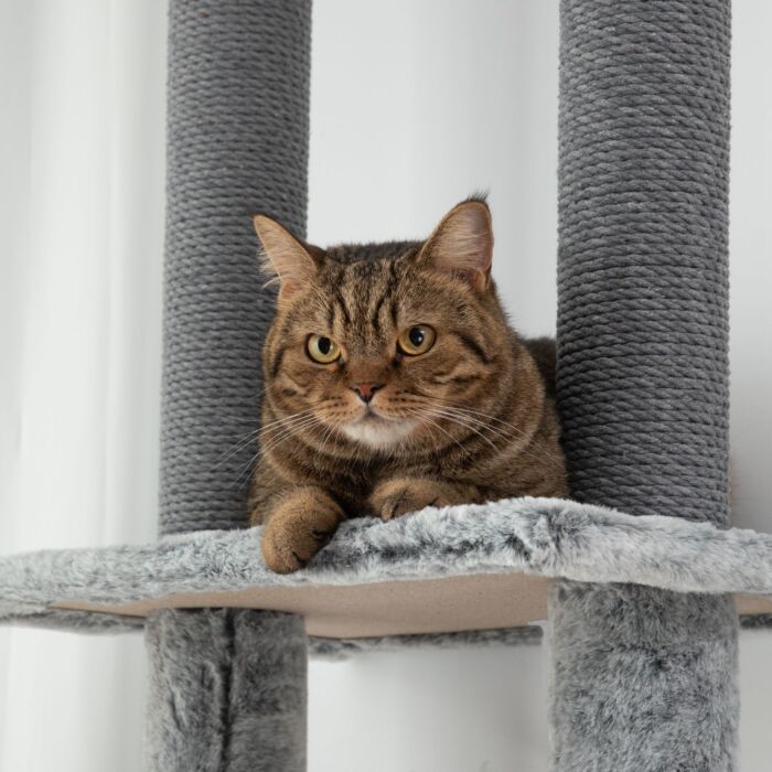 Pawhut 225-255cm Height Floor-to-ceiling Cat Tree Large Cat Tower W/ Cat Scratching Posts, Ramp, Condo