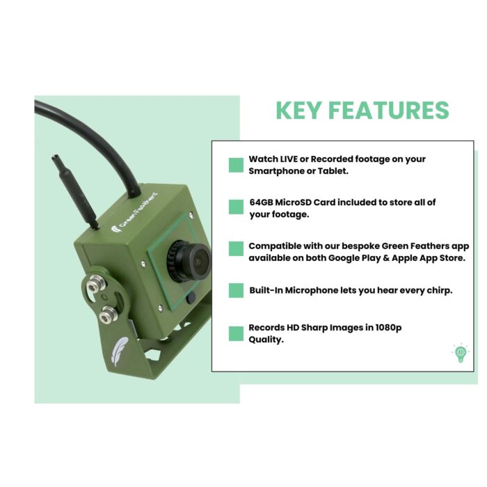 Green Feathers Bird Feeder Camera Bundle With Wifi Connection