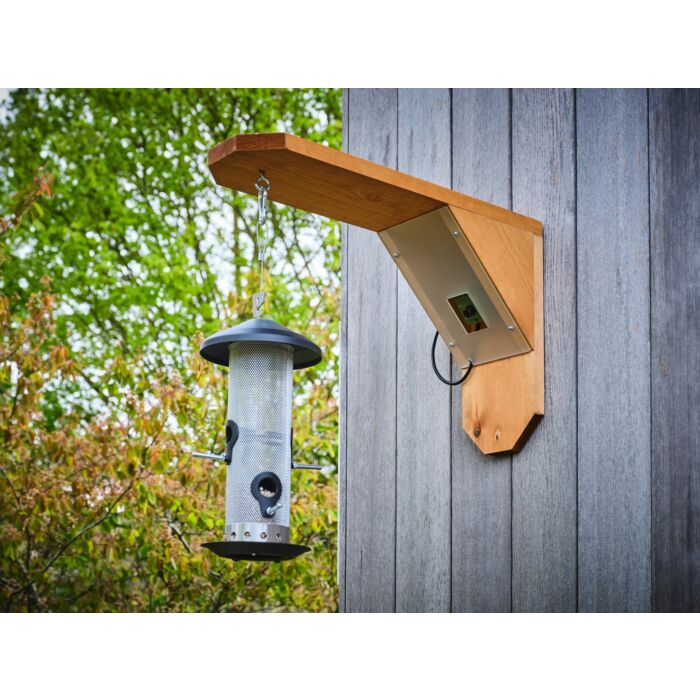 Green Feathers Bird Feeder Camera Bundle With Wifi Connection