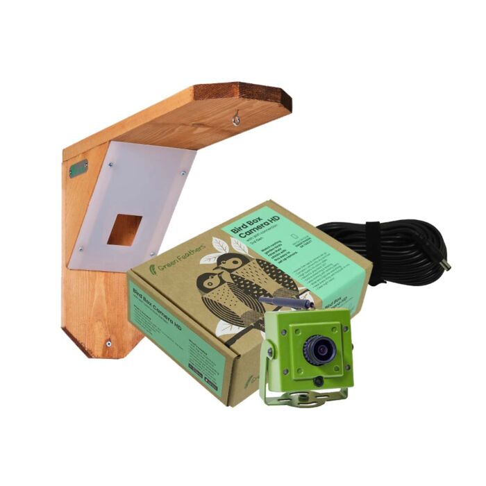 Green Feathers Bird Feeder Camera Bundle With Wifi Connection