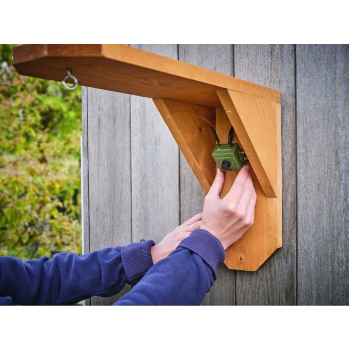 Green Feathers Bird Feeder Camera Bundle With Wifi Connection