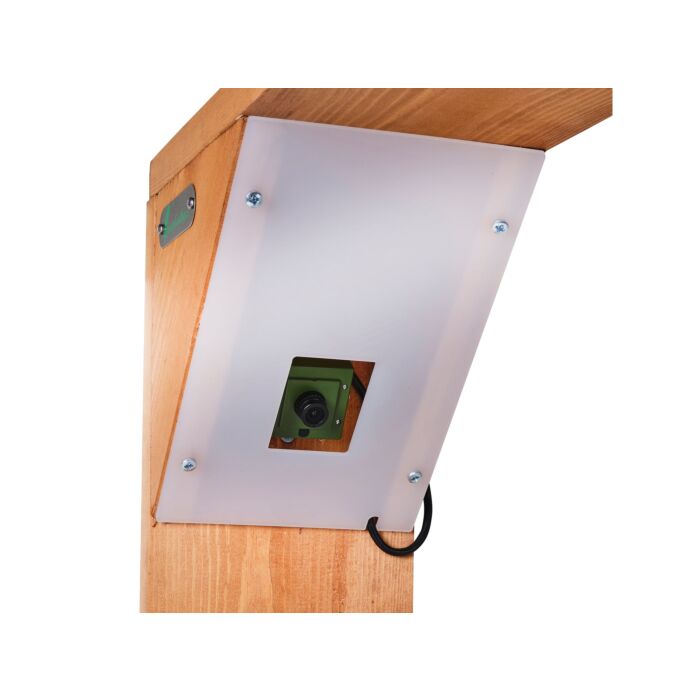 Green Feathers Bird Feeder Camera Bundle With Wifi Connection