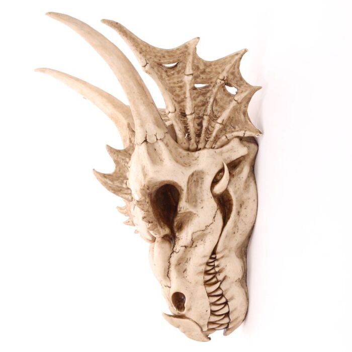 Decorative Fantasy Dragon Skull