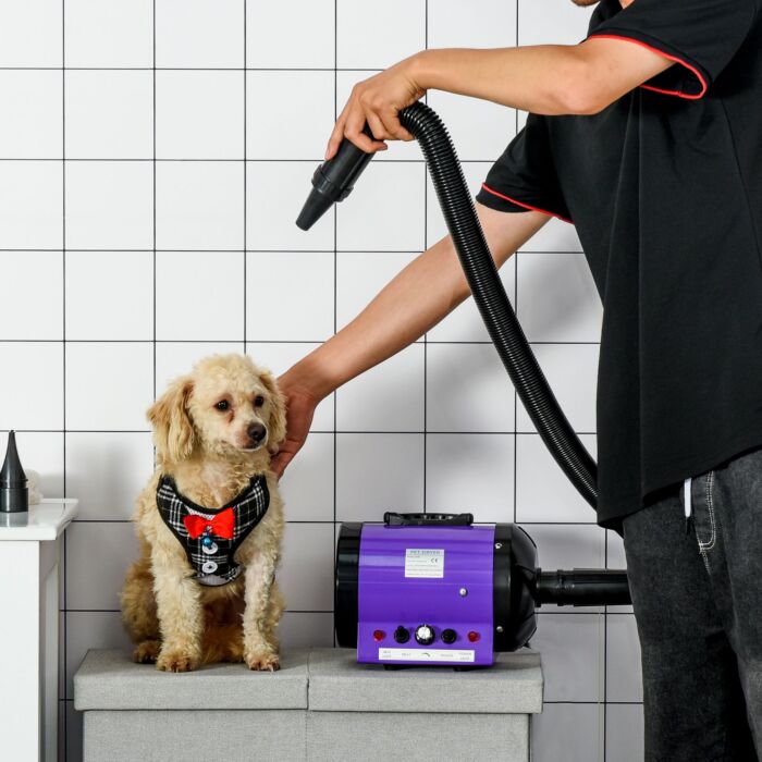 Pawhut 2800w Dog Hair Dryer Pet Grooming Blaster Water Blower Dryer W/ 3 Nozzles, Purple