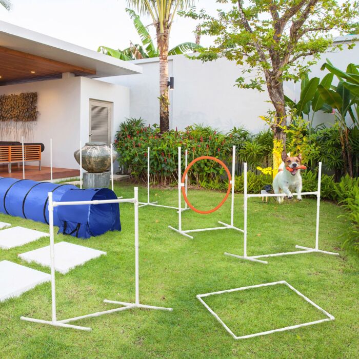 Pawhut 6-piece Dog Agility Equipment Set With 3(m) Long Tunnel & Canine Whistle, Pause Box, Jumps, Weave Poles, Multicolour