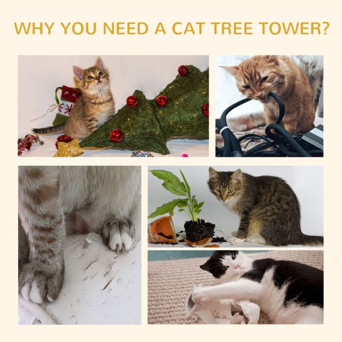 Pawhut 260cm Floor To Ceiling Cat Tree W/ 3 Perches Flannel Upholstery Kitten Pet Rest Sleep Activity Tower Home Furniture Brown