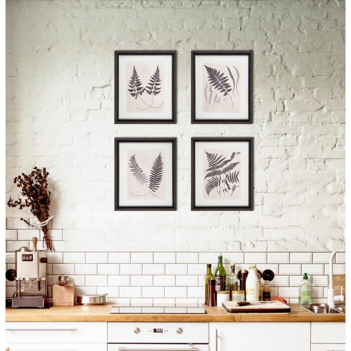 Vintage Fern Study Iv