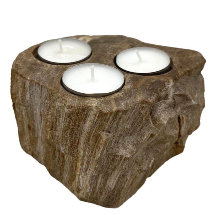 Petrified Wood Tealight Holder - Triple