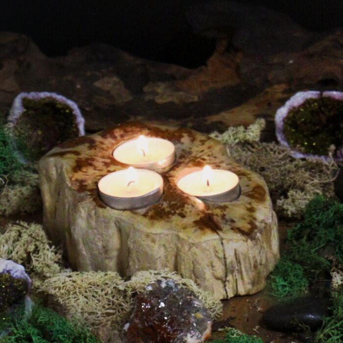 Petrified Wood Tealight Holder - Triple