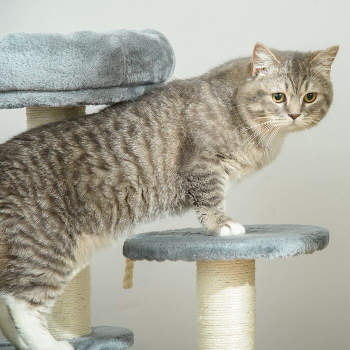 Pawhut 65 Cm Cat Tree Kitty Scratcher Kitten Activity Center Scratching Post Playhouse 2 Perch W/hanging Sisal Rope Grey