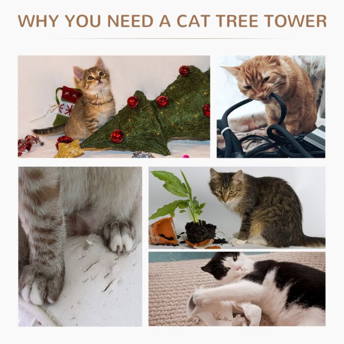 Pawhut 65 Cm Cat Tree Kitty Scratcher Kitten Activity Center Scratching Post Playhouse 2 Perch W/hanging Sisal Rope Grey