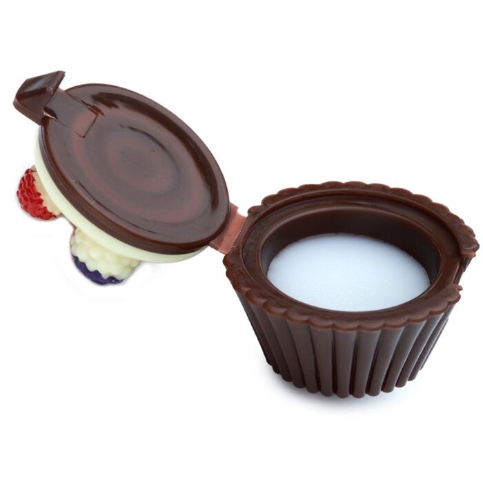 Lip Gloss In Fun Fairy Cake Holder