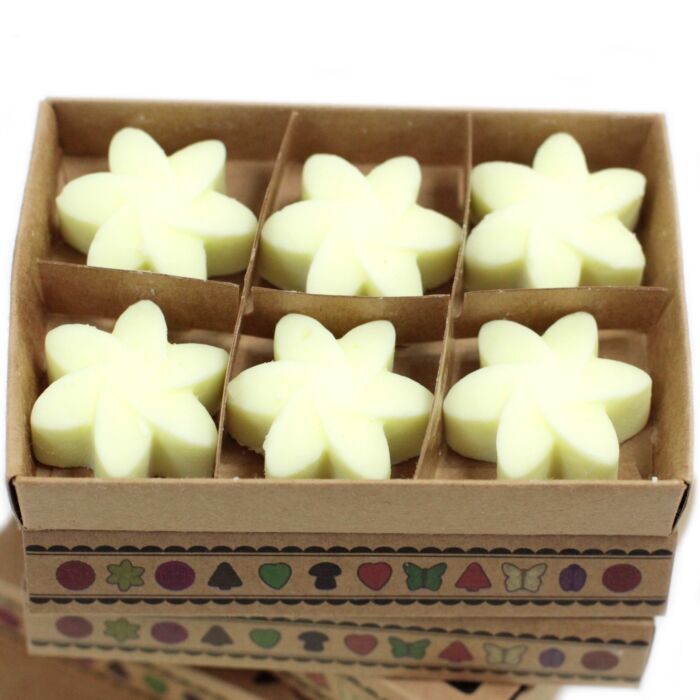 Box Of 6 Wax Melts - Lemon Harvest