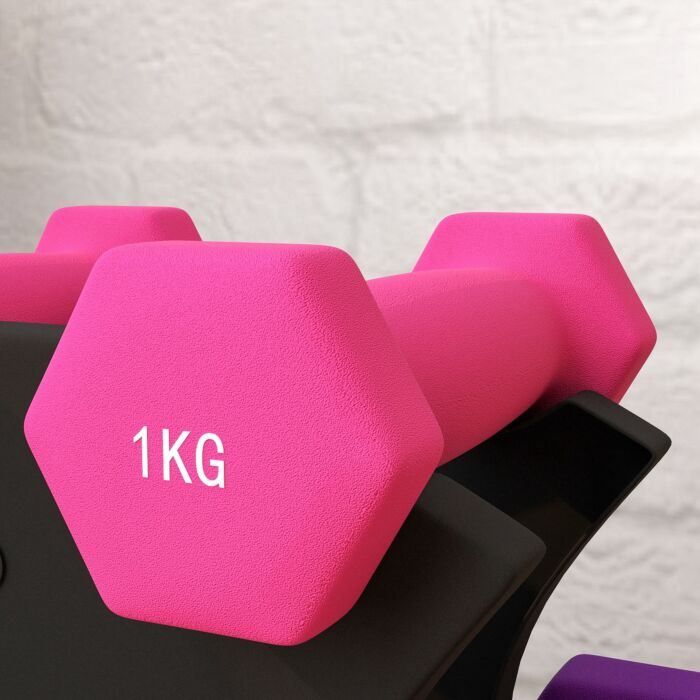Sportnow 2 X 1kg, 2 X 2kg, 2 X 3kg Dumbbells Set With Dumbbell Rack, Hand Weights For Home Gym Training