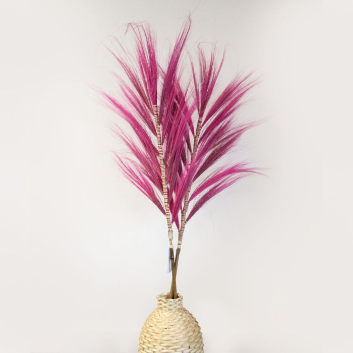 Dried Rayung Grass Pink- 1.6m