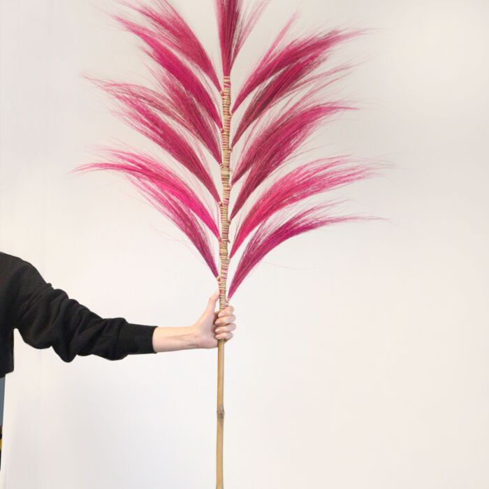 Dried Rayung Grass Pink- 1.6m